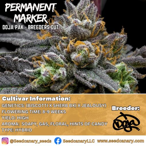 Permanent Marker - (Doja Pak Cut) Rooted Clone