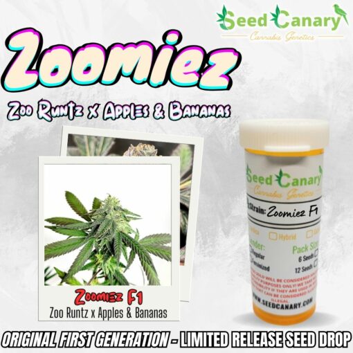 Zoomiez F1 Regular Seeds - Limited Release Seed Drop!