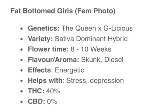 Fat Bottomed Girls (Fem Photo) 10-Pack - Image 2