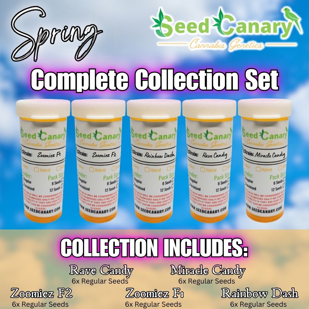 Seed Canary Genetics - Spring Collection