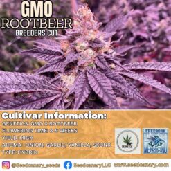 GMO Rootbeer - (SkunkTek Cut) Rooted Clone