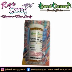 Rave Candy BX - 12x Regular Seeds