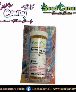 Rave Candy BX - 12x Regular Seeds