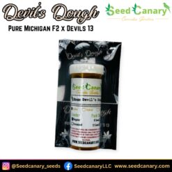 Devil's Dough - 12x Regular Seeds