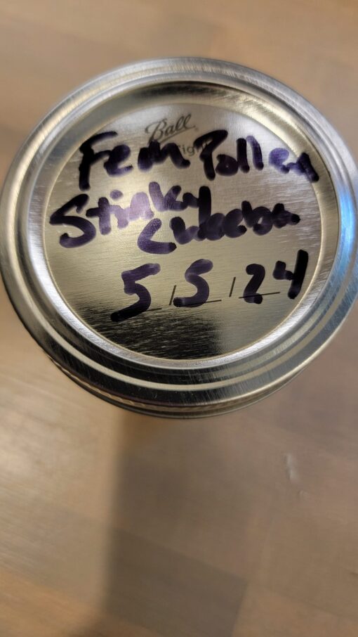 Stinky Cheeba - Image 3