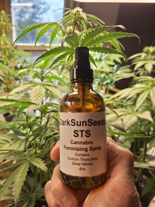 Cannabis STS Feminizing Spray Reversing Spray Sodium Thiosulfate Silver Nitrate Amber Glass Bottle 4oz
