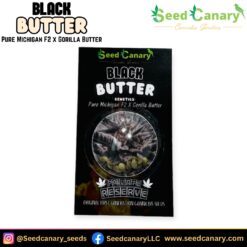 Black Butter - 12x Regular Seeds