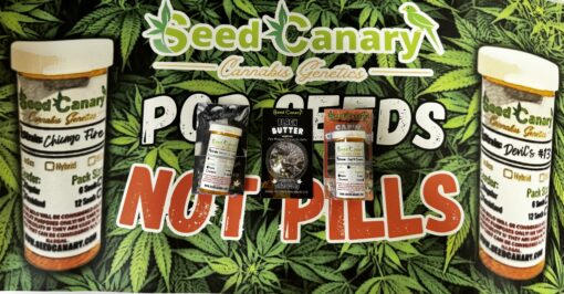 HEATERS Bundle - Cannabis Seed Box Set & Banner! - Image 6