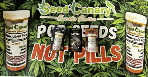 HEATERS Bundle - Cannabis Seed Box Set & Banner! - Image 6