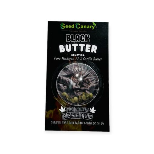 Black Butter - 12x Regular Seeds - Image 2