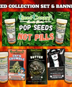 HEATERS Bundle - Cannabis Seed Box Set & Banner!