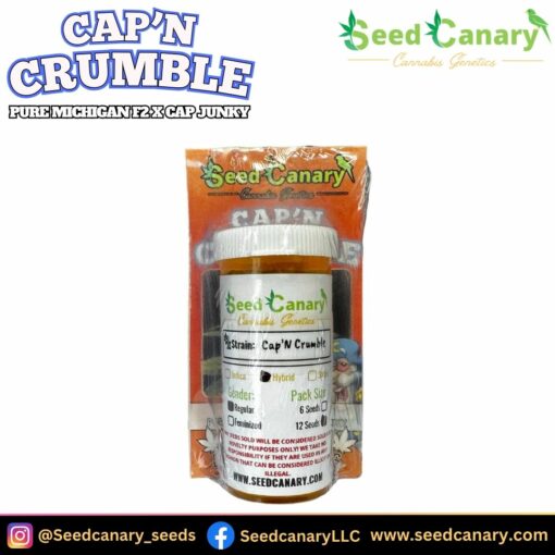 HEATERS Bundle - Cannabis Seed Box Set & Banner! - Image 3
