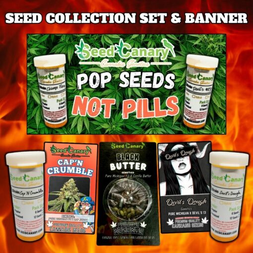 HEATERS Bundle - Cannabis Seed Box Set & Banner!