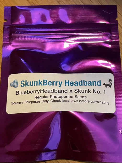 SkunkBerry Headband - Image 2