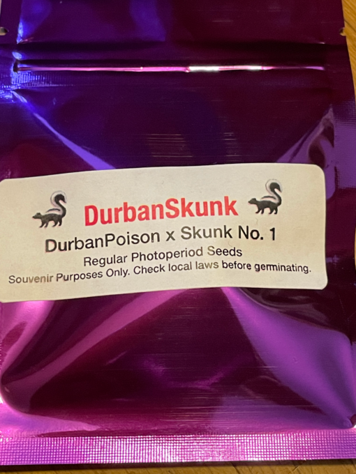 DurbanSkunk - Image 2