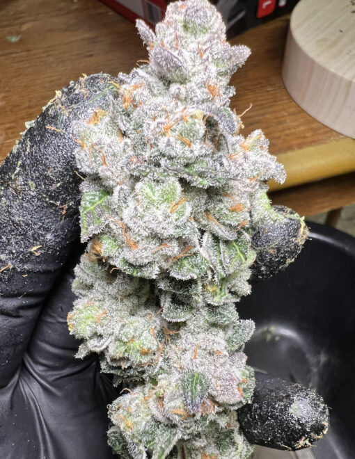 Cherry ball fem