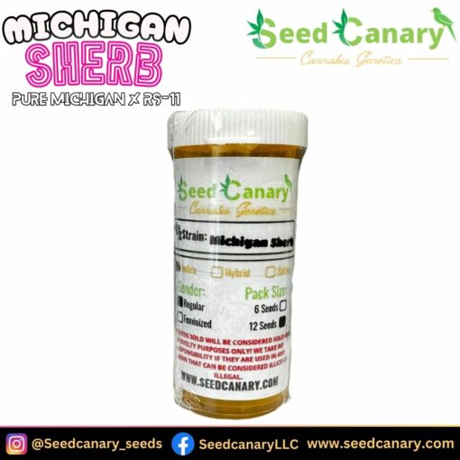 Michigan Sherb - 12x Regular Seeds - Image 2