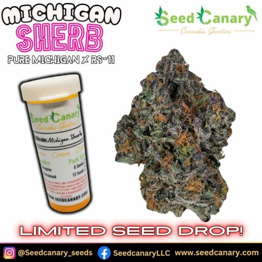 Michigan Sherb - 12x Regular Seeds
