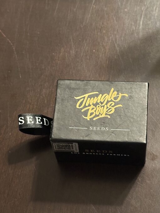 Seed Vault – Jungle Boys Seeds (Creamsicle #10 x Zkittlez Cake)