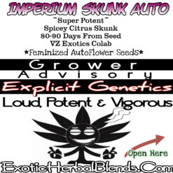 Imperium Skunk Auto 3 Seeds