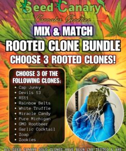 Rooted Clones! - Mix & Match Bundle