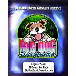 Big Dog Exotic Genetics