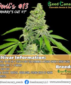Devil's #13 (Exclusive Clone Drop) - Rooted Clone