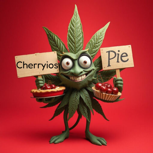 CHERRYIOS PIE