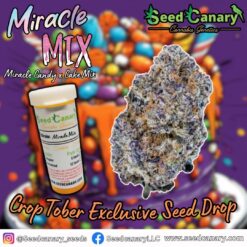 Miracle Mix (CropTober Drop) - Feminized Seeds