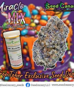 Miracle Mix (CropTober Drop) - Feminized Seeds