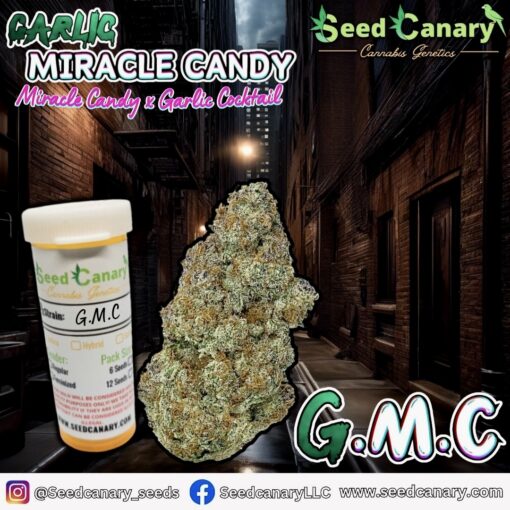 Miracle Box - Cannabis Seed Collection! - Image 5