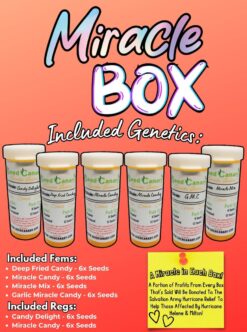 Miracle Box - Cannabis Seed Collection!