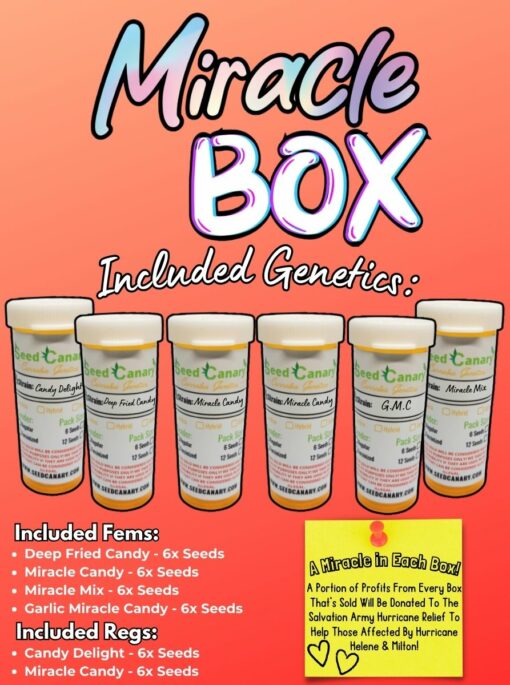 Miracle Box - Cannabis Seed Collection!