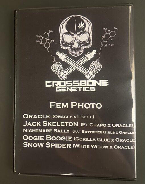 The Nightmare Before Christmas Box Set - Image 3