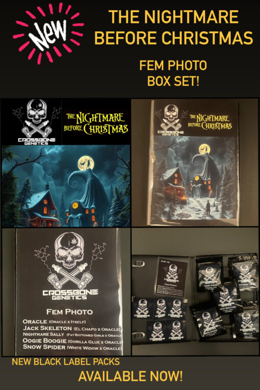 The Nightmare Before Christmas Box Set