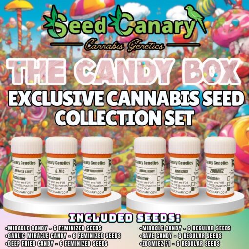 The Candy Box - Candy Themed Cannabis Seed Box