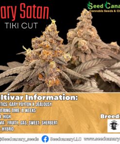 Gary Satan - (Tiki Cut) Rooted Clone