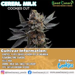 Cereal Milk - (Cookies Cut) Rooted Clone