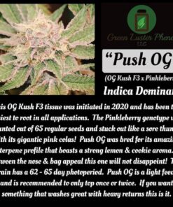 Green Luster Phenos Push OG 12 Pack
