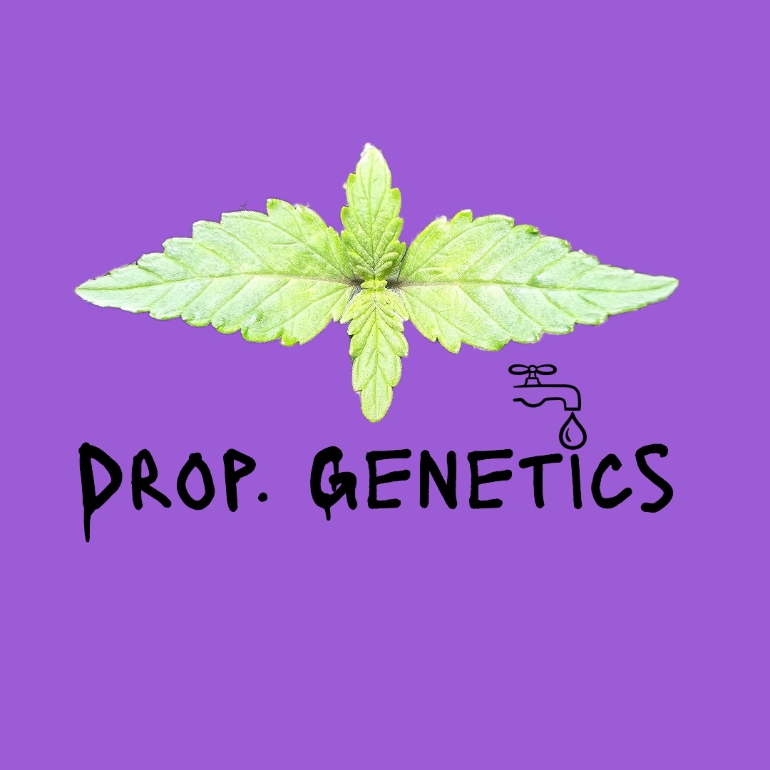 Drop.Genetics