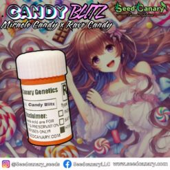 Candy Blitz - Regular Seeds