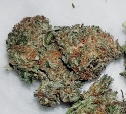 Breakfast Bride (Cereal Milk x Wedding Cake) - 12 Regs