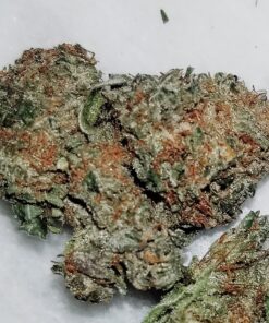 Cereal Milk x Wedding Cake - 12 Regs