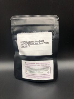 CHB 10pk Feminized