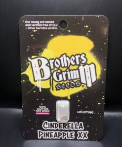 Brothers Grimm Cinderella Pineapple 9 Pk