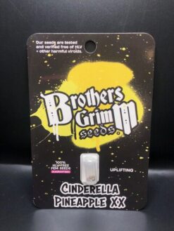 Brothers Grimm Cinderella Pineapple 9 Pk