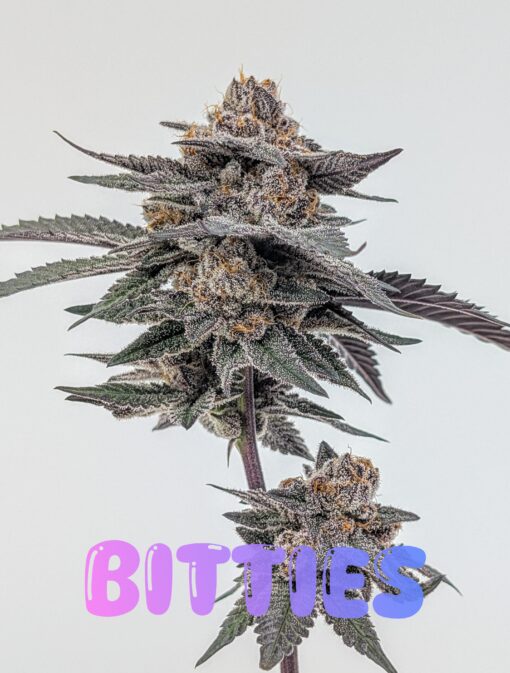Bitties