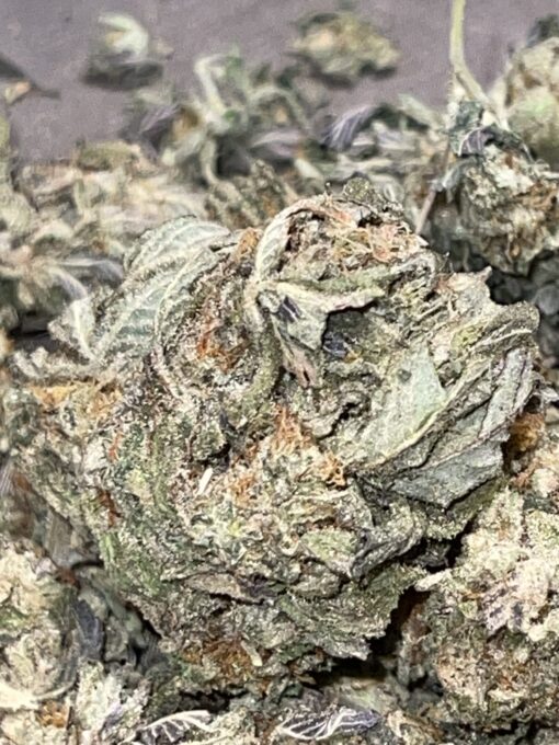 Soylent Mac - Mac Cowboy Cut crossed with Soylent Green (Slurricane x OG Kush) 2 pack regular seeds $10/ea seed - plus shipping handling (Copy) - Image 4