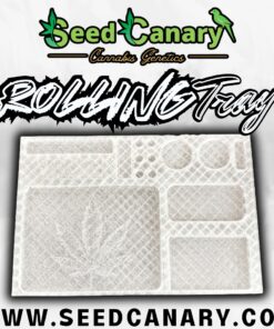 Seed Canary - Transparent Rolling Tray