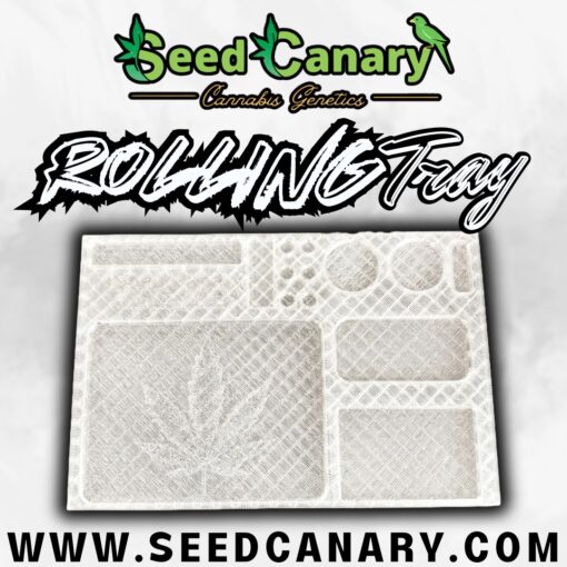 Seed Canary - Transparent Rolling Tray